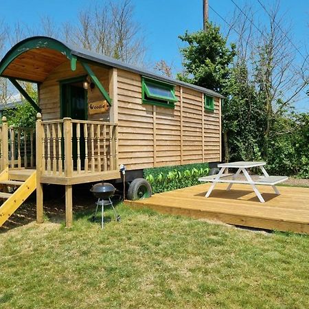 Woodie The Shepherds Hut - Sleeps 4 Chichester Zewnętrze zdjęcie